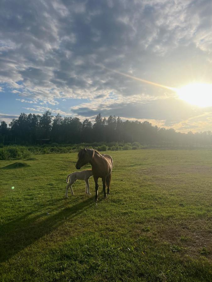 Östhammar Idylliskt Hus Med Sjoeutsikt. 빌라 외부 사진
